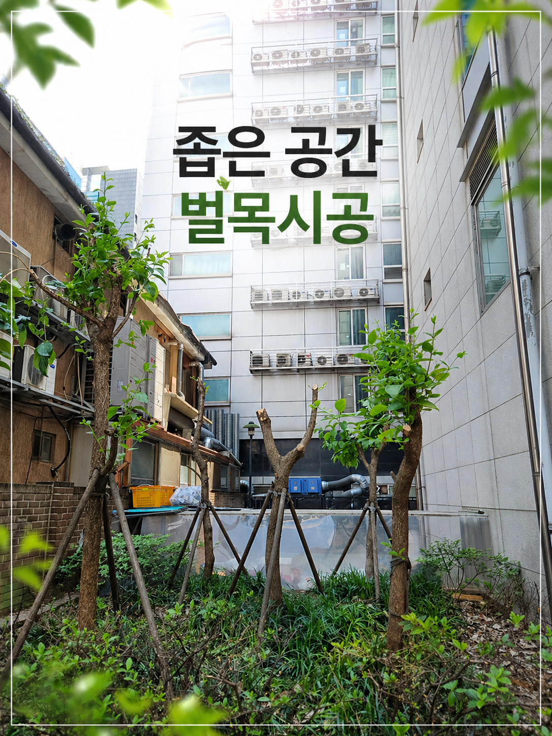 재선충 피해목 제거